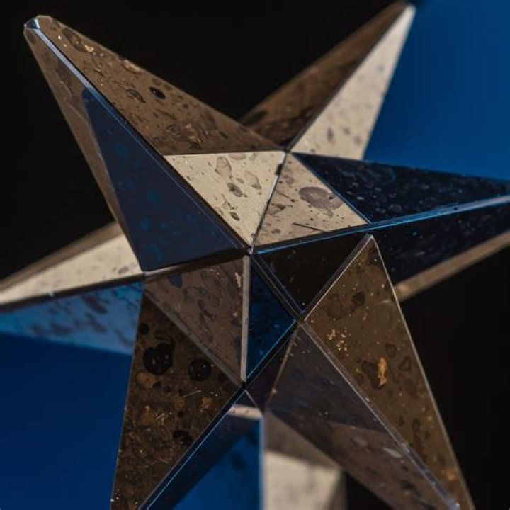 A Multifaceted Star Beyond Victorious